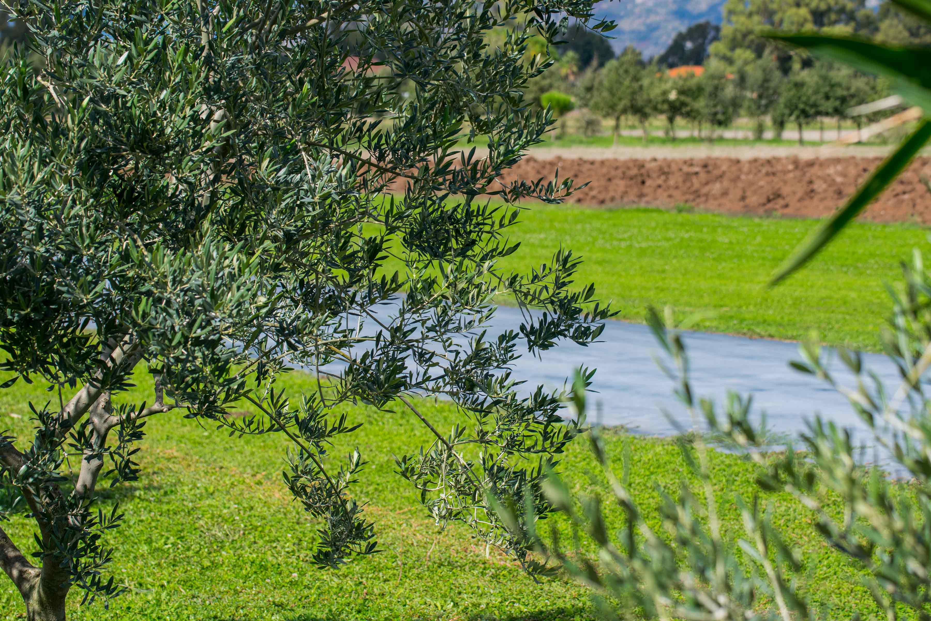 Campo di volo - Panoramica